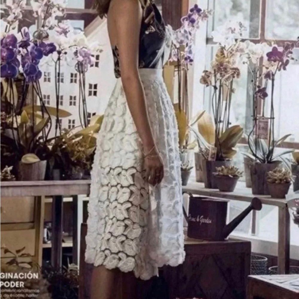 Maje Skirt